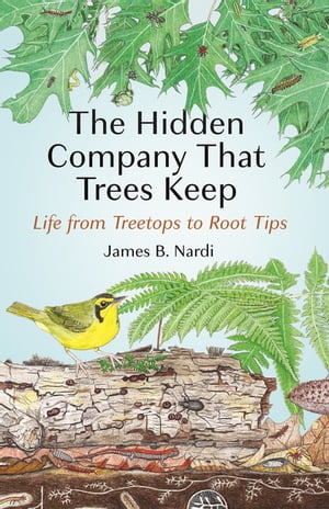 The Hidden Company That Trees Keep