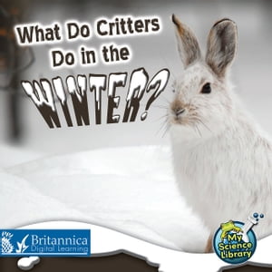 What Do Critters Do in the Winter?Żҽҡ[ Julie K. Lundgren ]