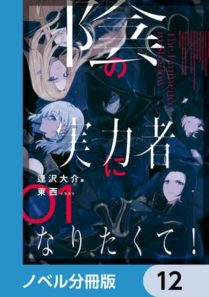 陰の実力者になりたくて！【ノベル分冊版】　12