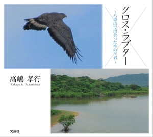 クロス・ラプター 〜八重山で出会った空の王者〜