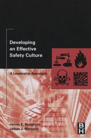 Developing an Effective Safety Culture