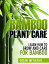 Bamboo Plant Care: How to Grow and Care for Bamboo