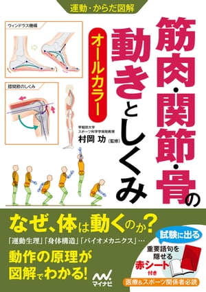 運動・からだ図解　筋肉・関節・骨の動きとしくみ