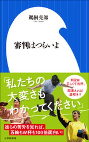 審判はつらいよ（小学館新書）