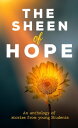 The Sheen Of Hope An Anthology of Stories from young authors