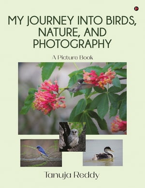 My Journey into Birds, Nature, and Photography