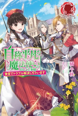 自称平凡な魔法使いのおしごと事情　〜後宮でトラブル解決しちゃいます〜