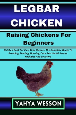 LEGBAR CHICKEN Raising Chickens For Beginners