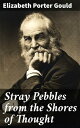 Stray Pebbles from the Shores of Thought【電