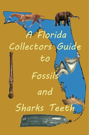 A Florida Collectors Guide to Fossils and Shark Teeth