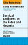 Innovations in Fetal and Neonatal Surgery, An Issue of Clinics in PerinatologyŻҽҡ[ Hanmin Lee, MD ]