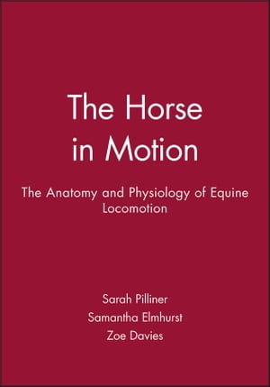 The Horse in Motion