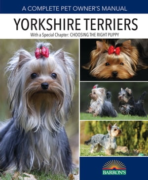 Yorkshire Terriers