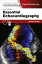 Essential Echocardiography - E-Book