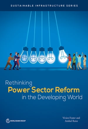 Rethinking Power Sector Reform in the Developing