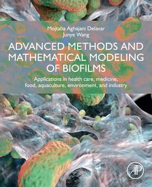 Advanced Methods and Mathematical Modeling of Biofilms