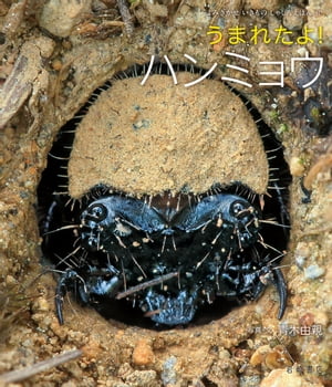 うまれたよ！　ハンミョウ【電子書籍】[ 青木由親 ]