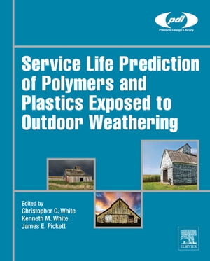 Service Life Prediction of Polymers and Plastics Exposed to Outdoor Weathering