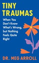 Tiny Traumas When You Don't Know What's Wrong, but Nothing Feels Quite Right【電子書...