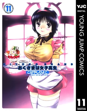 HIYOKO BRAND おくさまは女子高生 11【電子書籍】[ こばやしひよこ ]