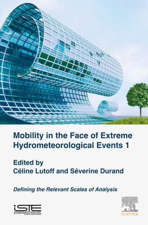 Mobility in the Face of Extreme Hydrometeorological Events 1 Defining the Relevant Scales of Analysis