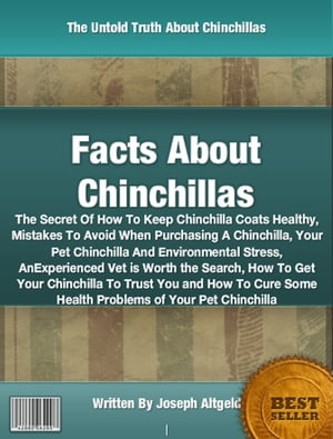 Facts About Chinchillas