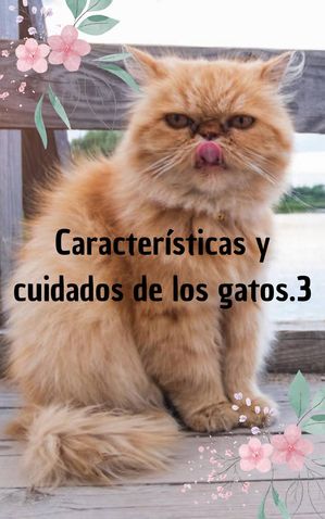 Caracter?sticas y cuidados de los gatos