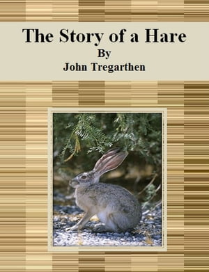 The Story of a Hare