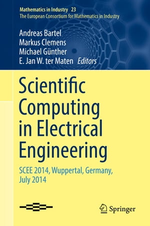 Scientific Computing in Electrical Engineering