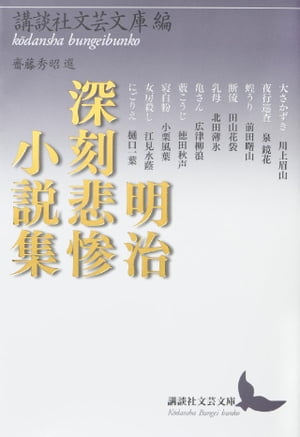 明治深刻悲惨小説集