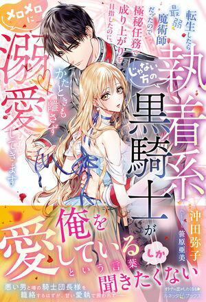 転生したら最弱魔術師だったので極秘任務で成り上がりを目指したのに、じゃない方の執着系黒騎士がかたときも離さずメロメロに溺愛してきます【電子限定SS付き】【電子書...
