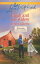 Elijah And The Widow (Mills & Boon Love Inspired) (Lancaster County Weddings, Book 4)