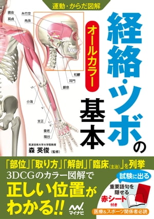 運動・からだ図解　経絡・ツボの基本