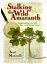 Stalking the Wild Amaranth