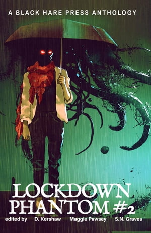 Lockdown Phantom #2