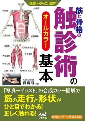 運動・からだ図解　筋と骨格の触診術の基本