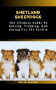 SHETLAND SHEEPDOGS The Ultimate Guide To Raising, Training, And Caring For The S...