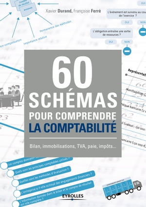 60 sch?mas pour comprendre la comptabilit? Bilan, immobilisations, TVA, paie, imp?ts ...