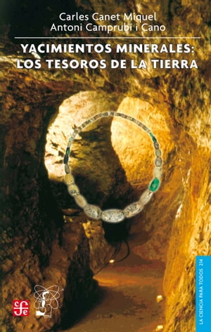 Yacimientos minerales Los tesoros de la tierra