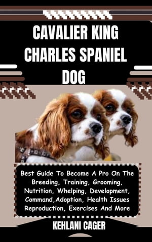 CAVALIER KING CHARLES SPANIEL DOG