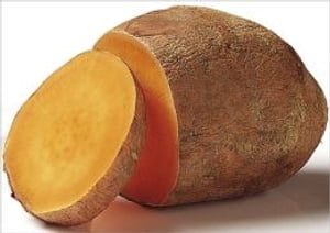 A Crash Course on How to Grow Sweet Potatoes