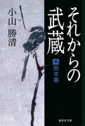 それからの武蔵（五）熊本篇