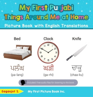 My First Punjabi Things Around Me at Home Picture Book with English Translations