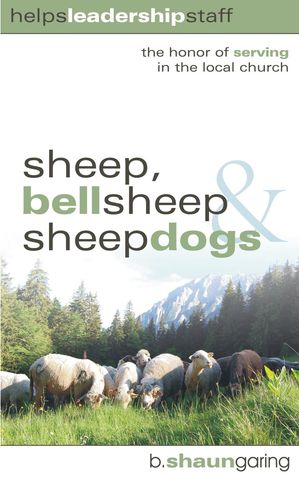 sheepdogsβ