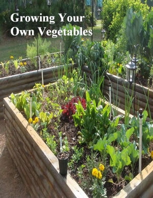 Growing Your Own Vegetables