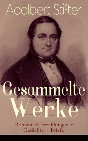 Gesammelte Werke: Romane + Erz?hlungen + Gedichte + Briefe Witiko + Der Nachsommer + Brigitta + Bunte Steine + Der Hochwald + Die Mappe meines Urgro?vaters + Abdias + Der Hagestolz + Nachkommenschaften + Der beschriebene T?nnling + De