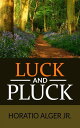 Luck and Pluck or John Oakley's Inheritance (Ill