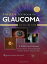 Shields Textbook of GlaucomaŻҽҡ[ R. Rand Allingham ]