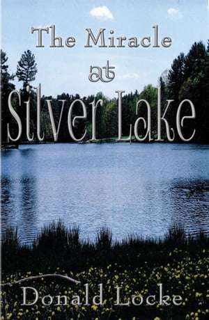 ŷKoboŻҽҥȥ㤨The Miracle at Silver LakeŻҽҡ[ Donald Locke ]פβǤʤ388ߤˤʤޤ