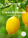 ŷKoboŻҽҥȥ㤨L'orto dei limoniŻҽҡ[ Stefano Figoli ]פβǤʤ484ߤˤʤޤ